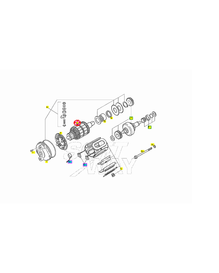 indotto-aprilia-af1-futura-europa-red-rose-rs-pegaso-1