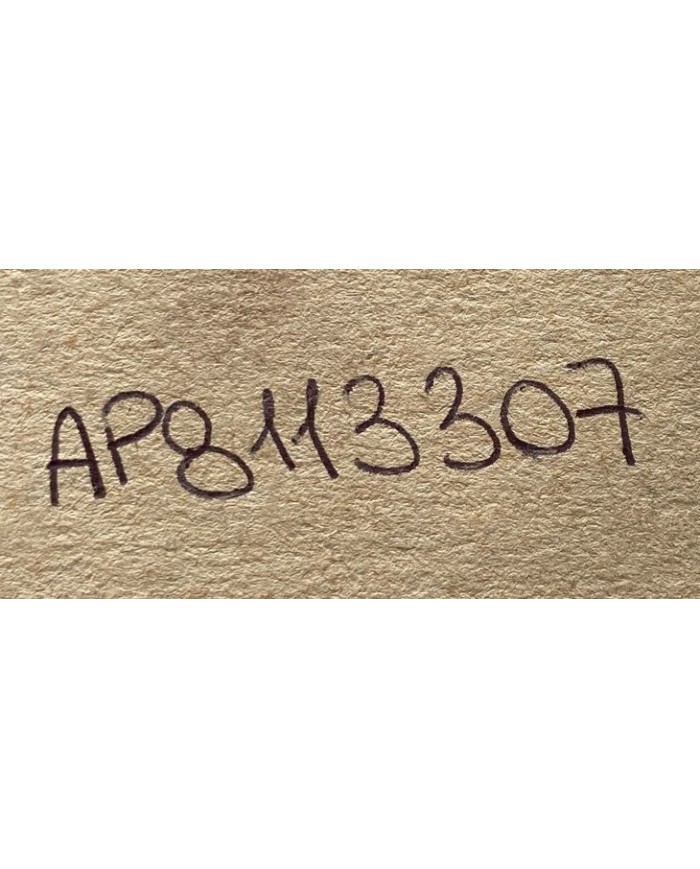 Leva freno anteriore originale Aprilia AF1 Futura Europa 125 codice AP8113307