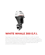 Motore Fuoribordo Selva White Whale E.F.I 300 Cv