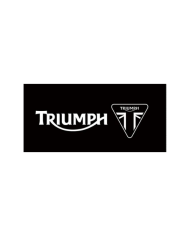 Triumph Moto