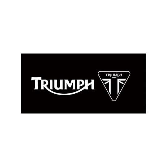 Triumph Ricambi